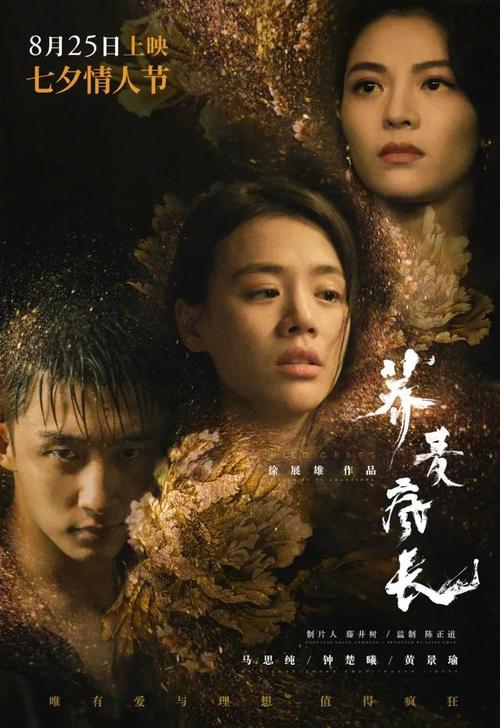 佛罗里达州怎么仿制